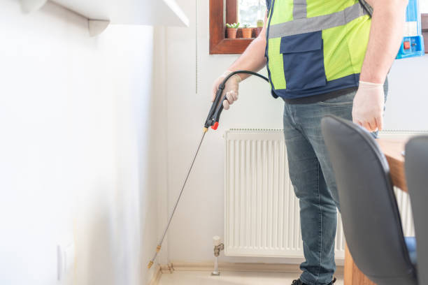 Best Flea Control Services  in Sinking Spring, PA